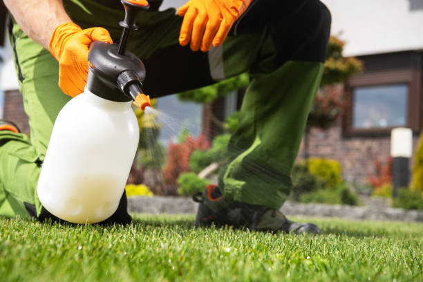 Best Residential Pest Control  in Ponca City, OK